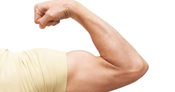 Kol Sağlığı ve Kasları